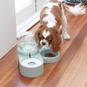 2-In-1 Pet Bowl  |   Pets In The Home Pets Pets In The Home