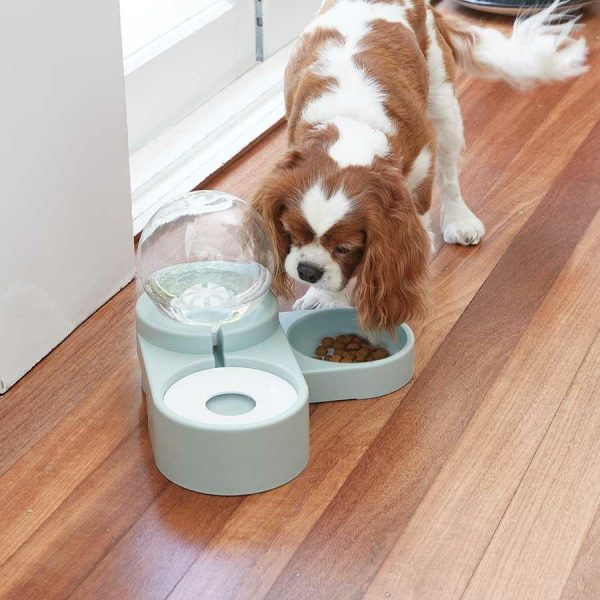 2-In-1 Pet Bowl  |   Pets In The Home Pets Pets In The Home