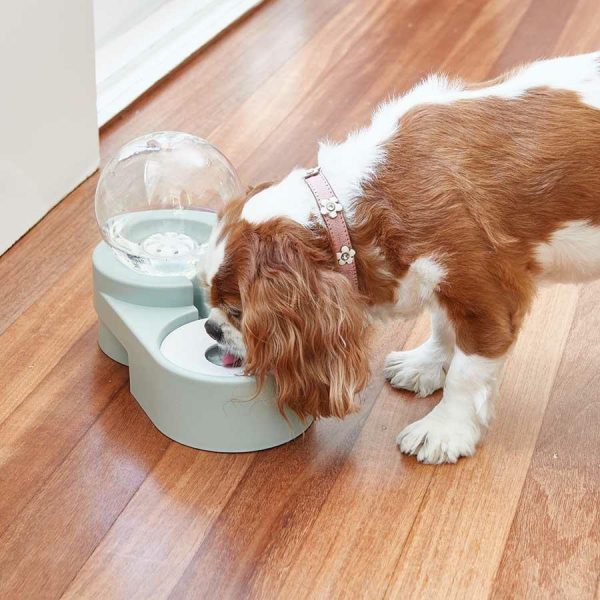 2-In-1 Pet Bowl  |   Pets In The Home Pets Pets In The Home