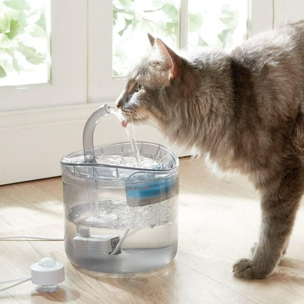 Auto Pet Water Dispenser  |   Pets In The Home Pets Pets In The Home