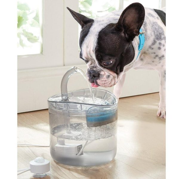 Auto Pet Water Dispenser  |   Pets In The Home Pets Pets In The Home