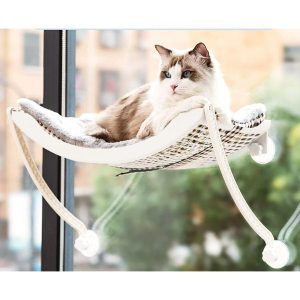 Deluxe Cat Window Bed  |   Pets In The Home Pets Pets In The Home