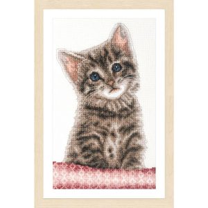 Kitten Counted Cross Stitch  |   Needlework Craft Needlework