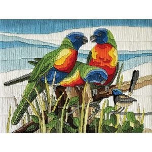 Lots Of Lorikeets Long Stitch Kit  |   Needlework Craft Needlework