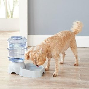 Pet Water Tower  |   Pets In The Home Pets Pets In The Home