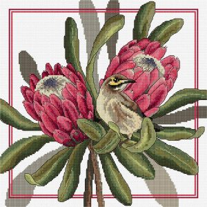 Proteas & Honeyeaters Counted Cross Stitch Chart  |   Needlework Craft Needlework