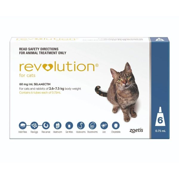 Revolution Cat 6 Pack  |   Cat Flea, Tick And Worming Control Cat Flea, Tick And Worming Control Cat Flea, Tick And Worming Control