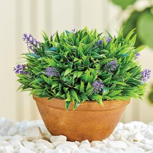 Solar Lavender Pot  |   Solar Powered Garden Features & Lighting Garden Features & Lighting