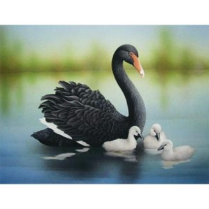 Swans & Cygnets Diamond Painting  |   Craft & Hobbies Craft Craft & Hobbies