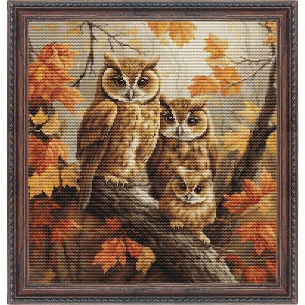 The Owl Family Counted Cross Stitch Kit  |   Needlework Craft Needlework