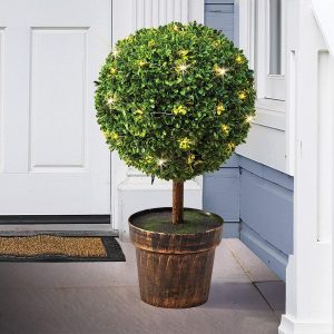 Topiary Solar Tree  |   Garden Features & Lighting Garden Features & Lighting Garden Features & Lighting