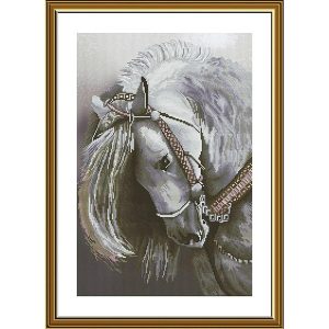 White Mane Counted Cross Stitch Kit  |   Needlework Craft Needlework