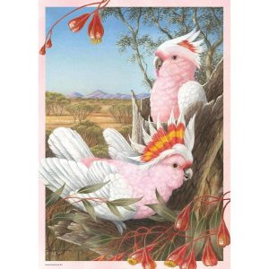 Major Mitchell Cockatoos 1000 Pc Jigsaw Puzzle  |   Jigsaws Craft Jigsaws