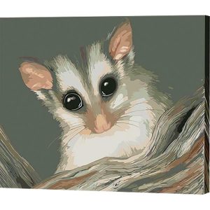 Sugar Glider Paint-By-Numbers  |   Craft & Hobbies Craft Craft & Hobbies